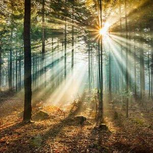 Önismereti Meseműhely Felnőtteknek